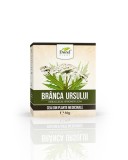 Ceai de Branca Ursului, 50g, Dorel Plant