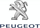 Vacuum Pump Peugeot/citroen 456546