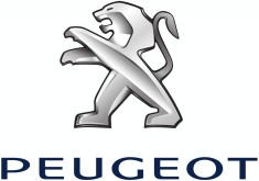 Autoparts Oe Peugeot/citroen 968289 foto