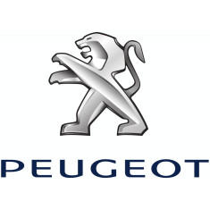 Armrest Oe Peugeot/citroen 7591TJ