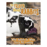 The Truth about Rabbits