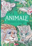 Animale. Culoare si magie/***