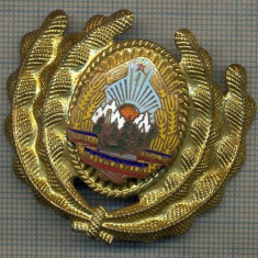 Y 1566 INSIGNA-MILITARA-EMBLEMA COIFURA- OFITER -RSR -PENTRU COLECTIONARI