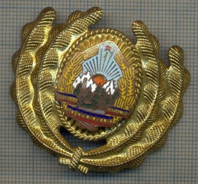 Y 1566 INSIGNA-MILITARA-EMBLEMA COIFURA- OFITER -RSR -PENTRU COLECTIONARI foto