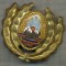 Y 1566 INSIGNA-MILITARA-EMBLEMA COIFURA- OFITER -RSR -PENTRU COLECTIONARI