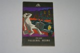 Fulgerul negru - Ion Capet