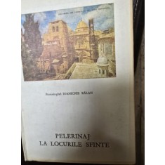 Pelerinaj la locurile sfinte - Ioanichie Balan