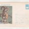 bnk ip Anul european al ocrotirii naturii - muflonul - necirculat - 1980