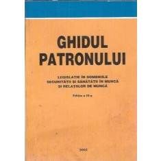 Ghidul patronului - Marin Petrica