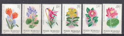 1980 LP 1007 FLORI EXOTICE DIN GRADINA BOTANICA BUCURESTI SERIE MNH foto