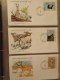 FAUNA WWF - 3 PLICURI PRIMA ZI