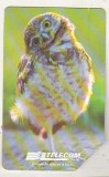 bnk card Cartele telefonice - Italia - fauna - pasari