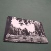 CARTE POSTALA -CLUJ -VEDERE DIN PARC CIRCULATA