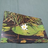 Cumpara ieftin CARTE POSTALA FELICITARE CIRCULATA