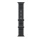 APPLE WATCH 49 BLACK NATURAL TI OB-ZML
