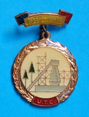 Industria Petrochimica -Uniunea Tineretului Comunist 1948-1973 - insigna Superba foto