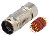 Conector M23 17-PIN Tată Lipire Drept Aurit