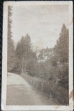 Carte Postala, Drumul spre Castelul Peles, perioada interbelica