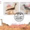 EMIRATELE ARABE UNITE 2021 FAUNA PASARI FDC