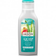 Sampon hidratant cu aloe vera 80% si fruct de cactus, pentru par uscat, Jason, foto