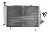 Radiator pentru DUCATI STREETFIGHTER 848/1099 2009-2015