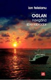 Oglan navigand spre Labrador - Ion Teleianu, 2021