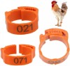 Inele Identificare Pasari, Plastic, Portocaliu, Set 100 Bucati, Accesorii Colivie