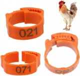 Inele Identificare Pasari, Plastic, Portocaliu, Set 100 Bucati, Accesorii Colivie