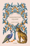 Washington Square (vol. 15), Litera