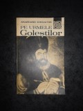 Anastasie Iordache - Pe urmele Golestilor