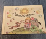 Baloane de sapun Irene Geilling ilustratii Dagmar Schwintowsky