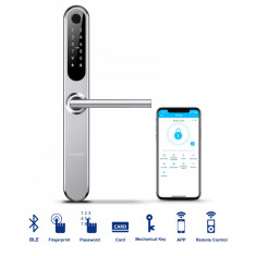 Manere Inteligente, Smart Lock Door