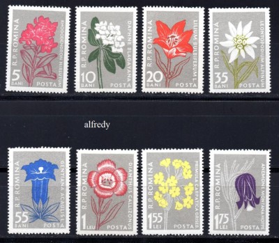 ROMANIA 1957, Flora Carpatina, MNH, 432 foto