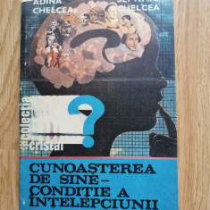 Adina Chelcea - Cunoasterea de sine - conditie a intelepciunii