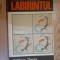 w0c Labirintul -Francisc Pacurariu