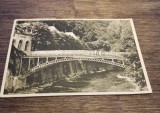Vedere din Băile Herculane R.P.R 1952
