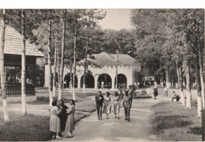 CPIB 15750 CARTE POSTALA - LIPOVA. VEDERE DIN PARC, RPR foto