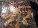 Cumpara ieftin VINIL NICOLAE FLOREI ROMANTE RARITATE!!! EPE 02100 DISC STARE FB