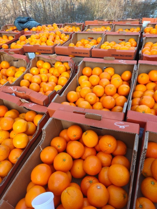 depozite fructe austria