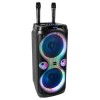 Boxa Portabila Karaoke Ibiza Sound 2x10" 250W RMS, USB, AUX, Bluetooth, 2 Microfoane Wireless, Lumini LED, Functie Inregistrare, TWS