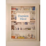 Damien Hirst (Tate Publishing, 2012, ed. Ann Gallagher)