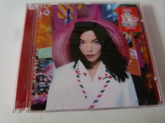 Bjork -post foto