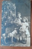 Fotografie tip carte postala, necirculata, copii langa bradul de Craciun, 1924