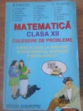 MATEMATICA CLASA XII - CULEGERE DE PROBLEME-B. ENESCU, L. VLAICU SI COLAB.-353821