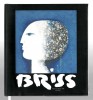 Sami Briss - Album de Arta - Ed. Dana Art, 2011, 55 pagini, 21x23 cm - Nou