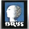 Sami Briss - album de arta - Ed. Dana Art, 2011