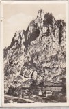 Bnk cp Intrare in Cheile Bicazului - Vedere - necirculata, Printata, Harghita
