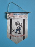 Fanion Fotbal Asociatia Sportiva Minerul - Filipestii de Padure / CD1P