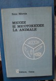 Petre Mitroiu -Micoze și micotoxicoze la animale