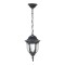 Felinar Cu Lant Negru 220V/60W/Ip43